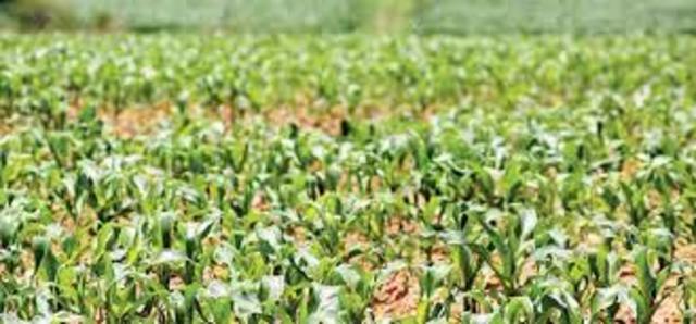 Farmer Wins Court Battle