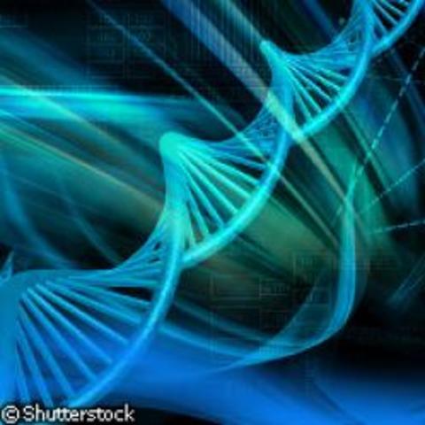 Algunos genes pueden saltar (1940) Genétic