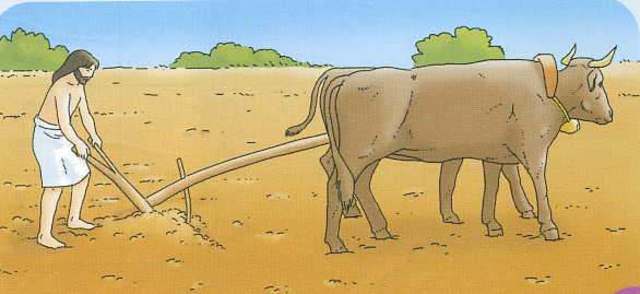 Rivoluzione Agricola