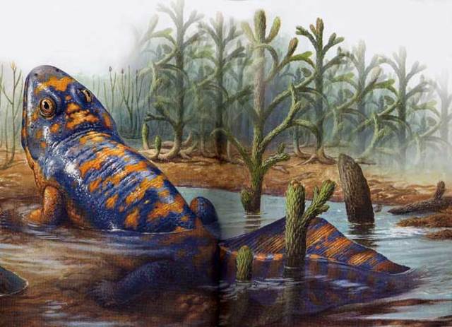 Conquesta de la terra