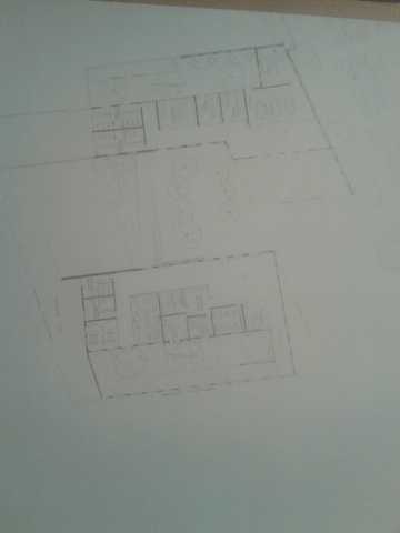 Preparación de nuevas plantas