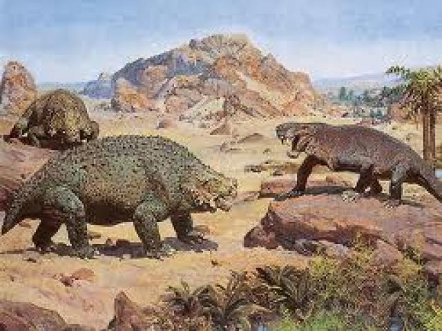 Gran diversificació dels vertebrats