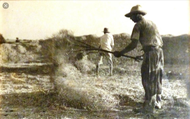 Nous coneixements a les feines de camp