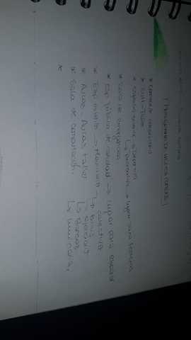 programa de necesidades