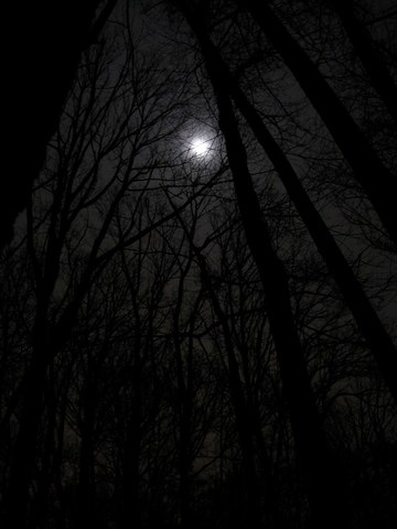 David has nightmares of his father killing Sophie