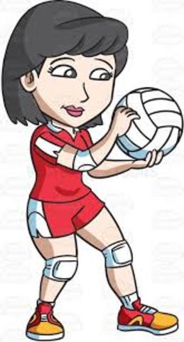 Volleyball Experience