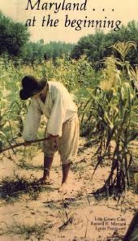 Marylands settlemant