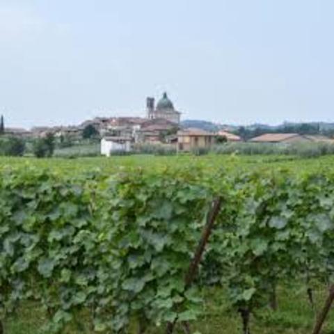 The plantation Duty act was placed