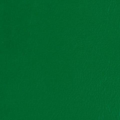 Constitutional Convention