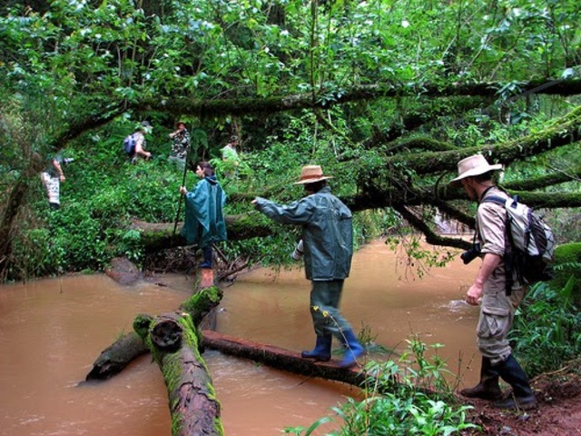 2 cambio del medio ambiente
