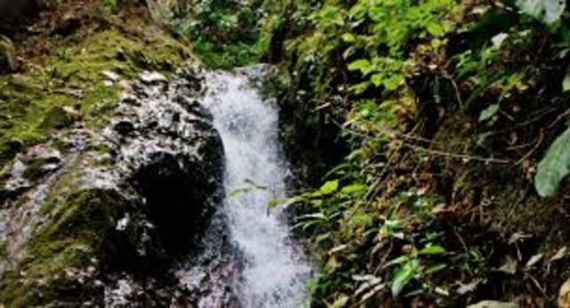 3 cambio del medio ambiente