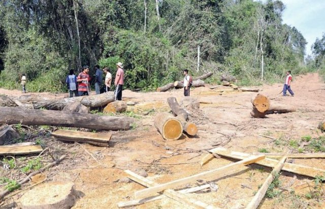 4 cambio del medio ambiente