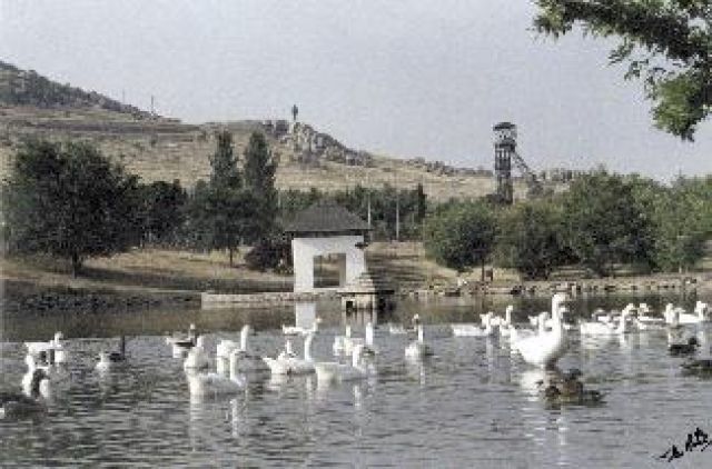 6 cambio del medio ambiente