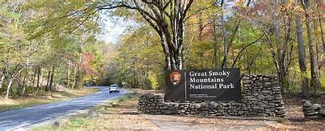 Una vacación divertida