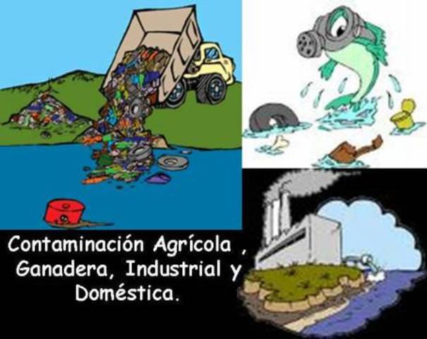 9 cambio del medio ambiente del año 2010