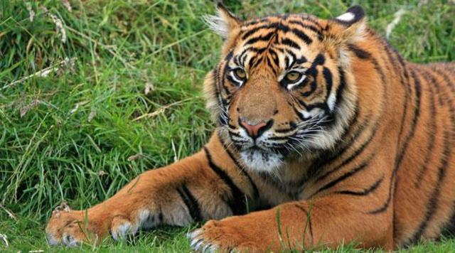 my first time in the zoo