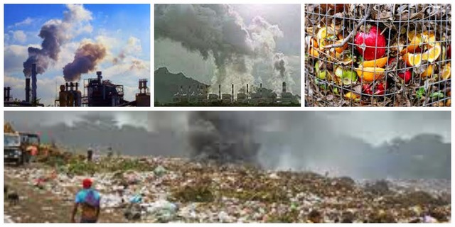 11 cambio del medio ambiente del año 2013 a 2014