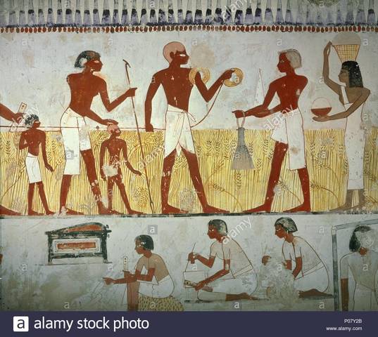 1era etapa: El inspector (inspección)