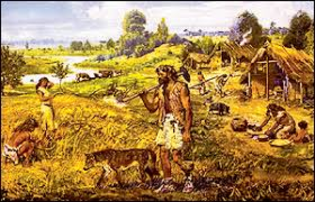 Los primeros animales domésticos.