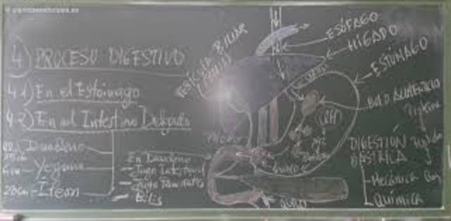 7. La tiza y la pizarra