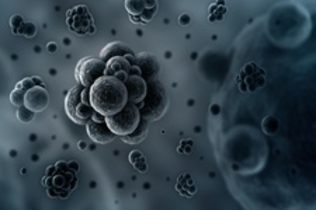 First eukaryotic cells