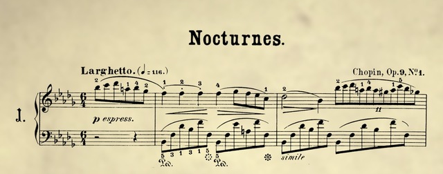 ¿Qué es un nocturno?