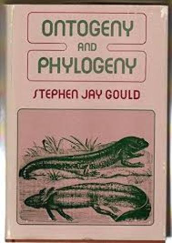 Ontogeny and Phylogeny