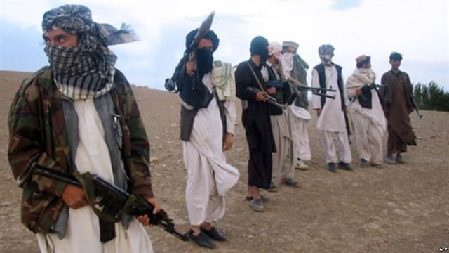 taliban allows Al-Qaeda in Afghanistan