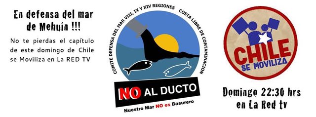 Programa "Chile se moviliza" - Mehuín