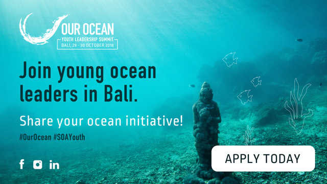 El océano también sufre