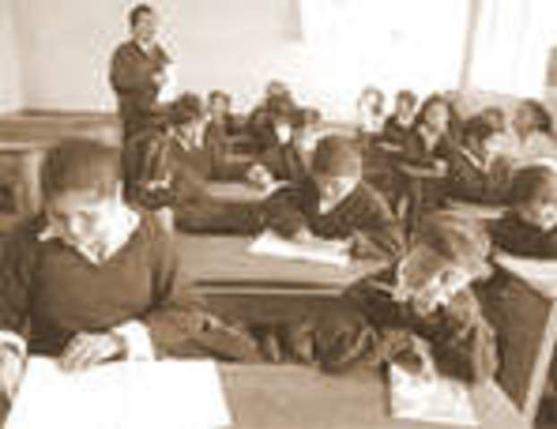 REFORMA EDUCATIVA LEY1565