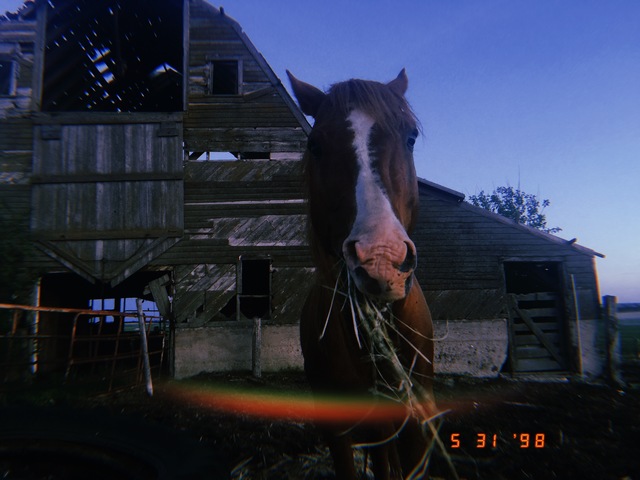 Driving a Tractor and Riding Horses till 2 am