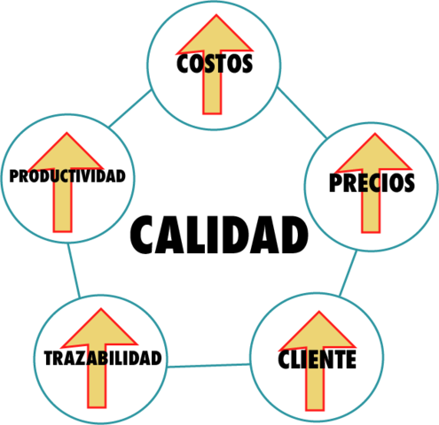 3era Etapa,Aseguramiento de la Calidad