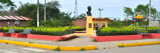 Instagram  -  Panorámica rostros