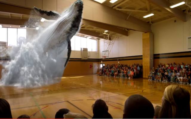 se implementa la tecnología en 7D