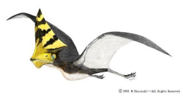 Primers Essers Voladors