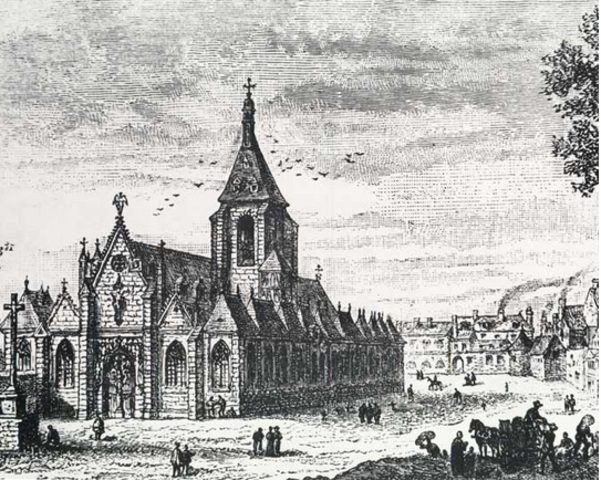 Universitario- Licenciatura