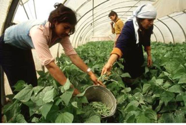 LA RECONSIDERACIÓ DEL SEGLE XXI