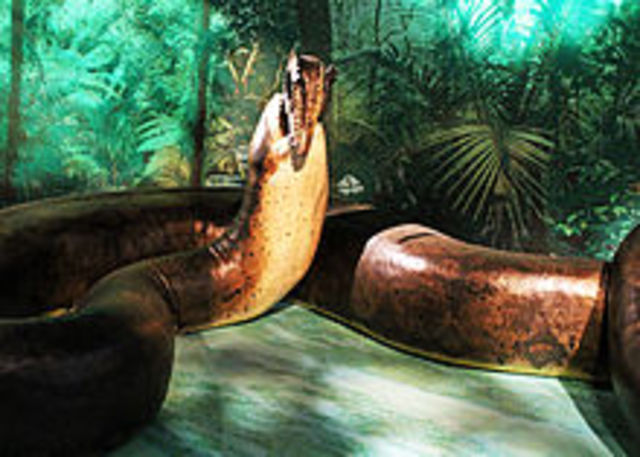 La Titanoboa