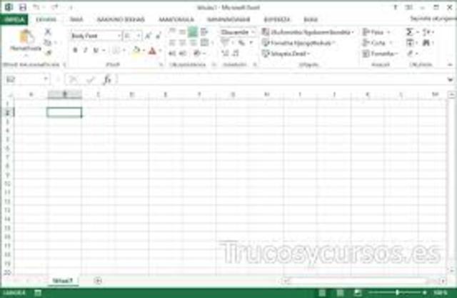 Microsoft Excel