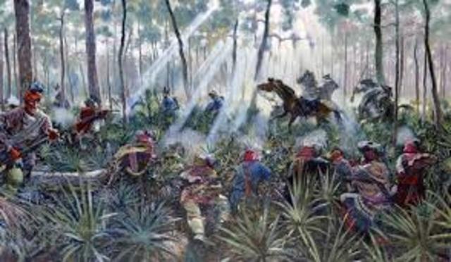 Seminole Wars - All Indian Wars - 1814 - 1857