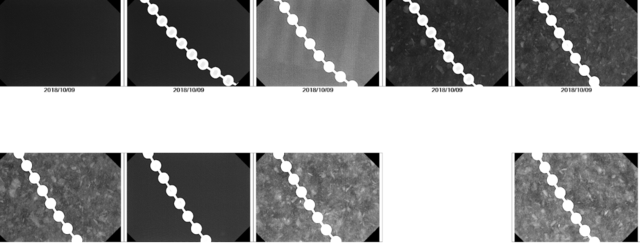 Analyze Mycelium Blocking Radiation Experiment Result