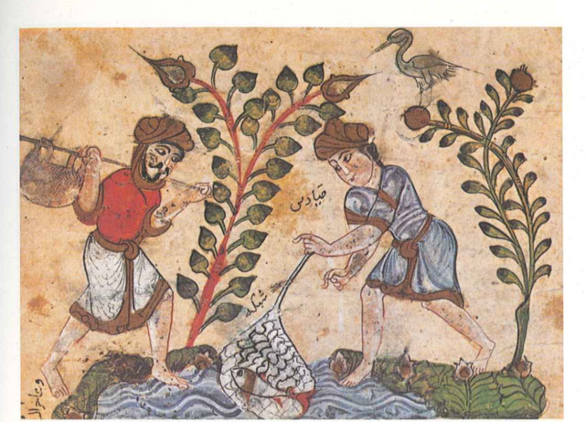 El pescado, alimento de los pobres