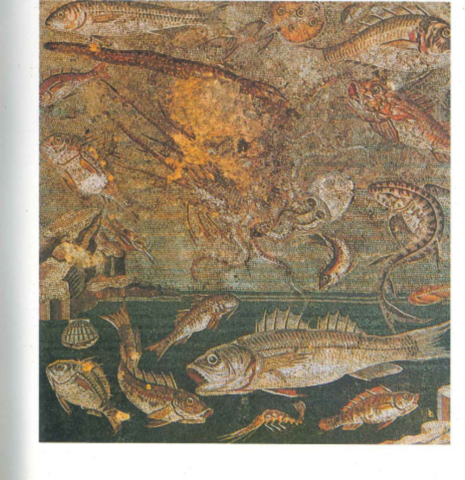 EL garum de Hispania