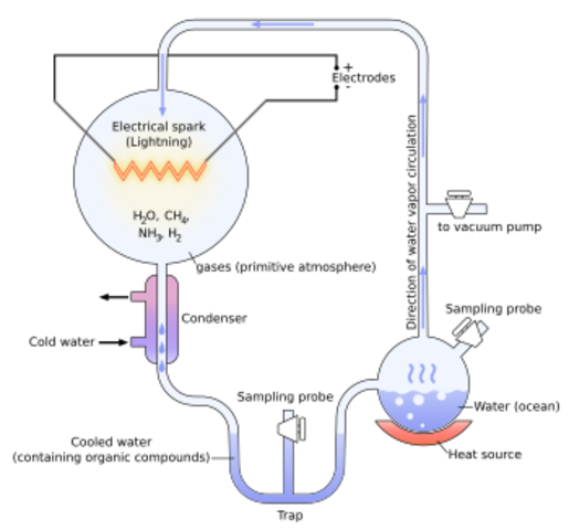 Miller's Experiment.