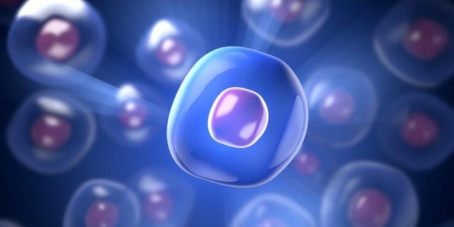 First Eukaryotic Cells