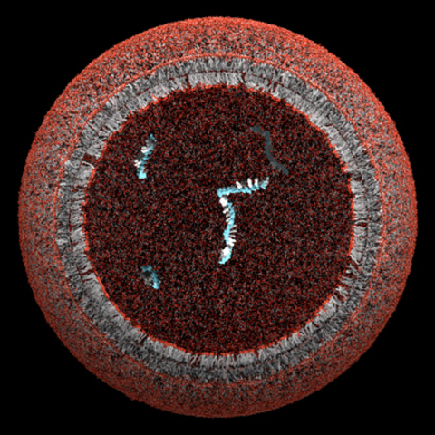 Appearance of Protocells