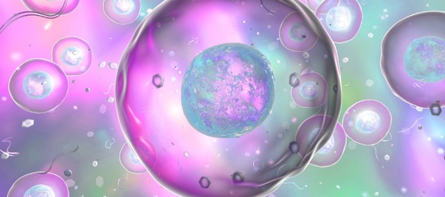 First Eukaryotic cell