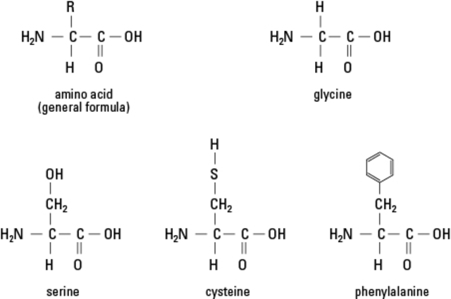 The first organic molecules