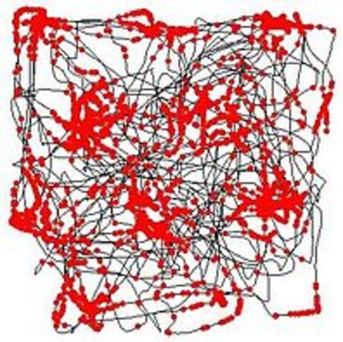 Teoría De Las Redes Neurales Artificiales